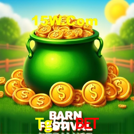 Experiência VIP Tg55 Bet