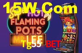 Sinta a adrenalina dos jogos de cassino com Tg55 Bet
