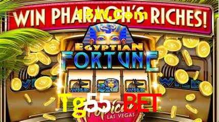 Avaliações dos Jogadores Tg55 Bet