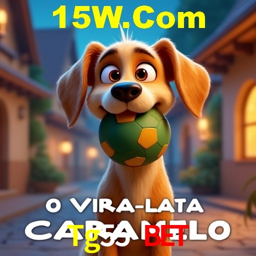 Interface do App Tg55 Bet